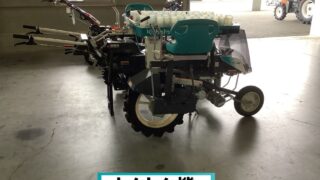 【4頭セット】クモマベニ、タカネキマダラ（岐阜県白出沢産） KP4T-320x180.jpg